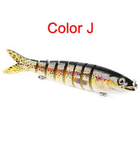Rainbow Trout