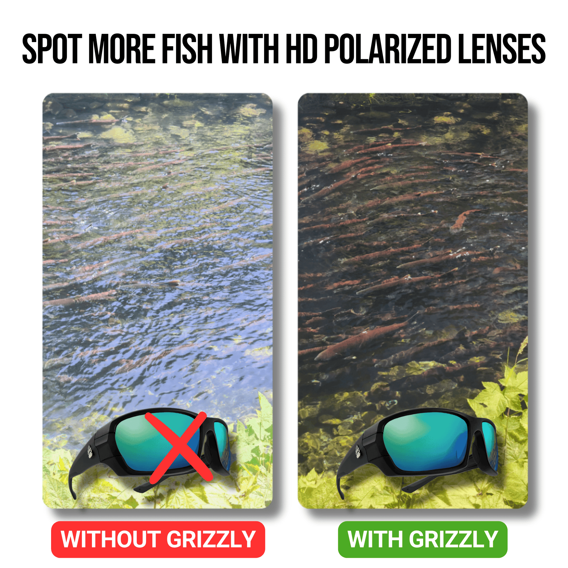Grizzly Fishing Pro Sunglasses Kit – 4 Sets of Polarized Lenses Included - Grizzly Fishing